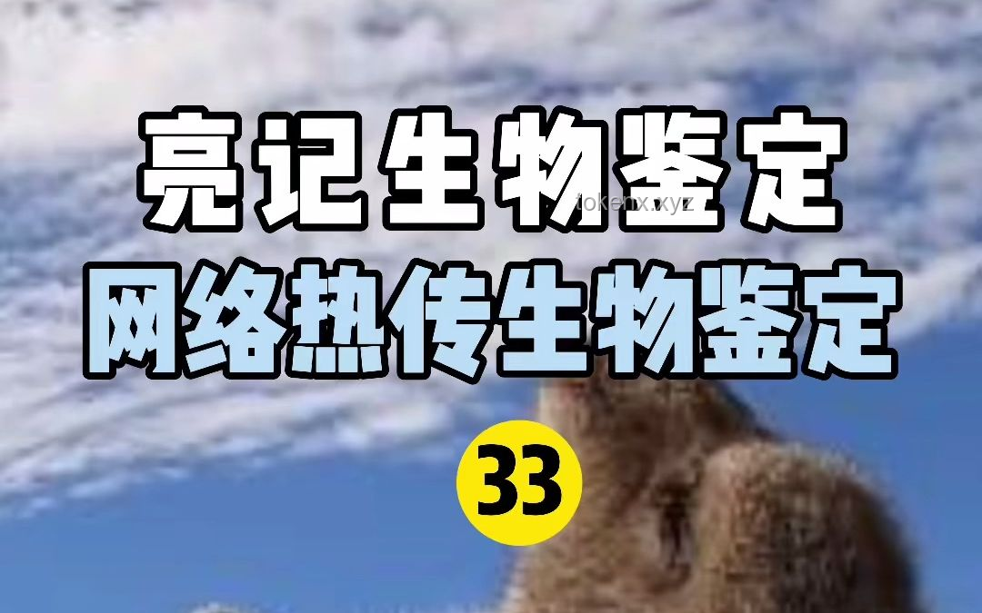 网络热传生物鉴定54：揭秘自然界中的奇妙生物